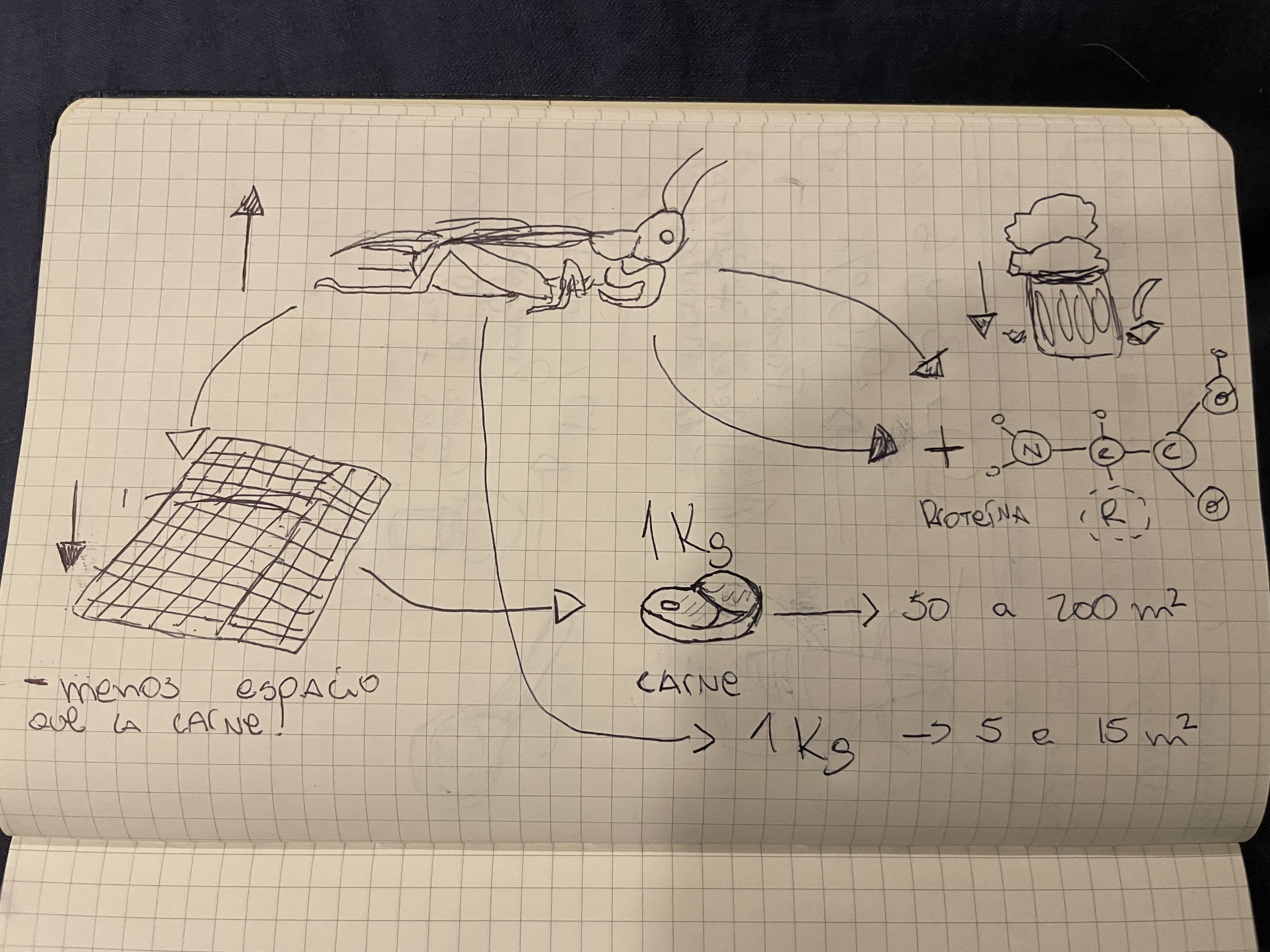 Dibujos2
